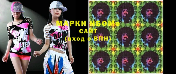 индика Алзамай